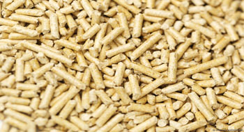 files-SfhfotografPellets26Large_2